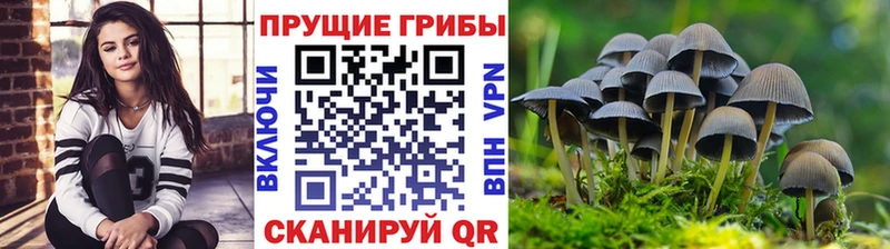 Псилоцибиновые грибы Psilocybe  Апрелевка 